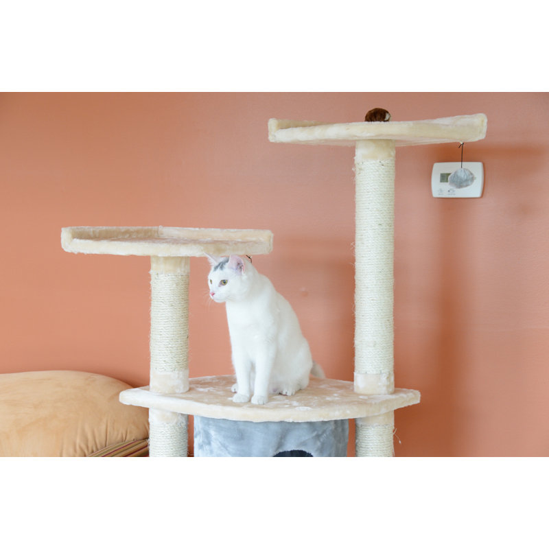 Archie & Oscar 64" Cat Tree & Reviews Wayfair